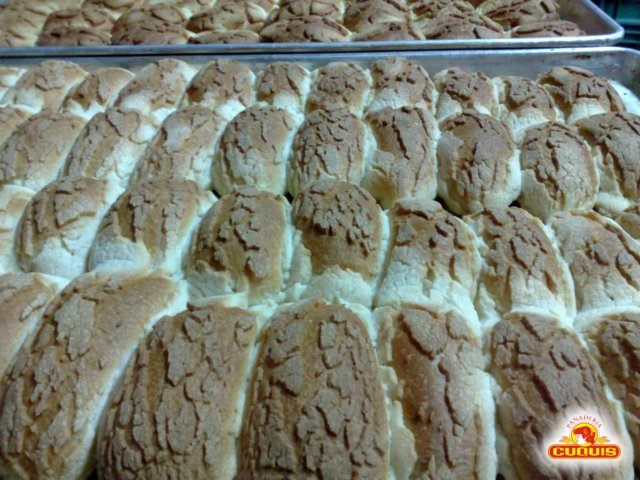 photo14.jpg